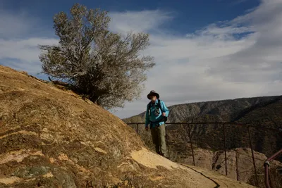 DSC_6273 (Large).JPG